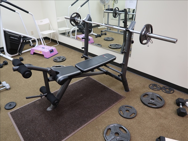 ASSORTED GYM EQUIPMENT TO INCLUDE SA GEAR BENCH PRESS