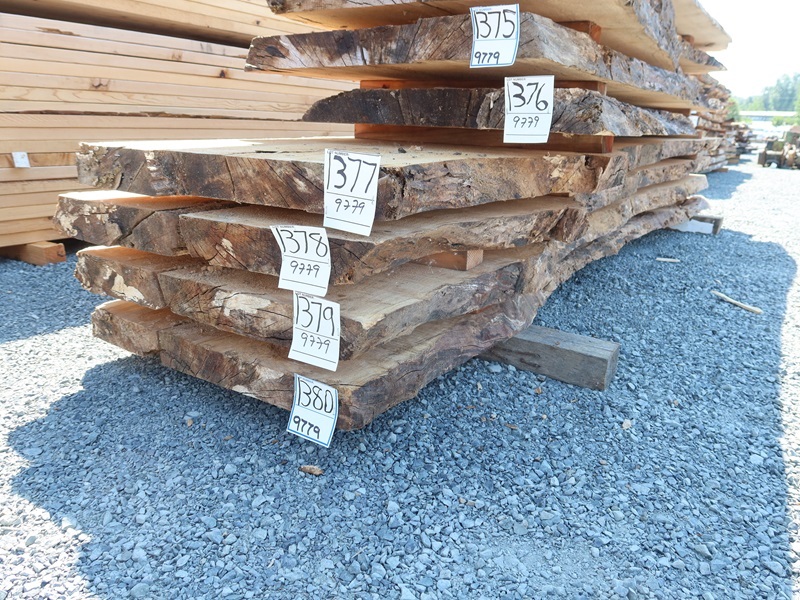 21/2" X 134" 5 YR AIR DRY LIVE EDGE MAPLE SLAB (LARGE END 30", SMALL