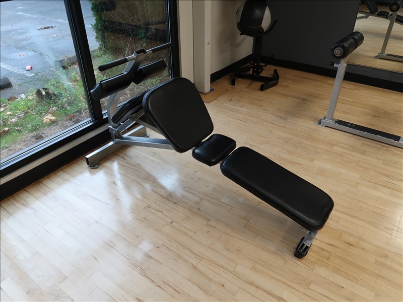 INVERTED PADDED METAL BENCH | HIGHLINE ATHLETIC CLUB - ONLINE AUCTION ...