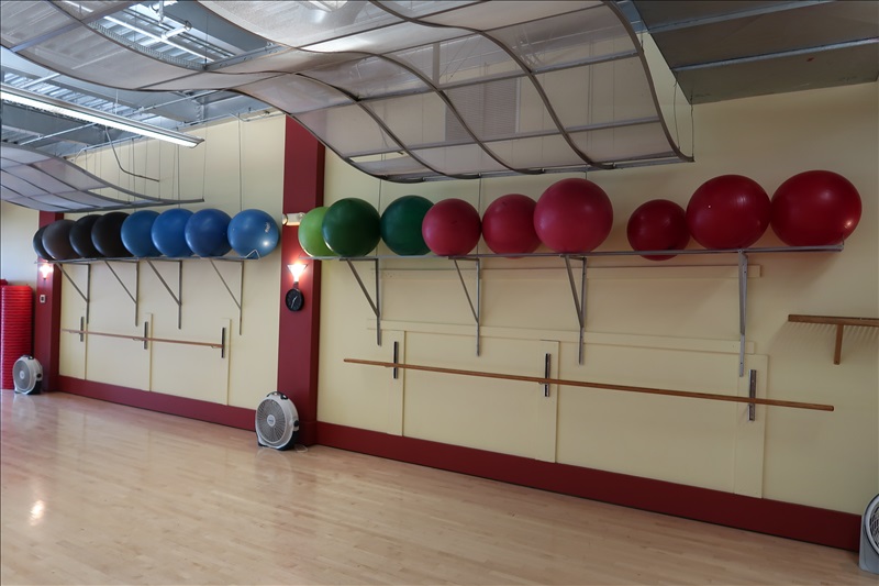 ASSORTED RUBBER BALLS ISSAQUAH FITNESS ONLINE AUCTION James G