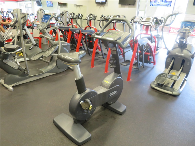 TECHNOGYM DEC84L UPRIGHT BIKE, SNAP FITNESS - ONLINE ONLY