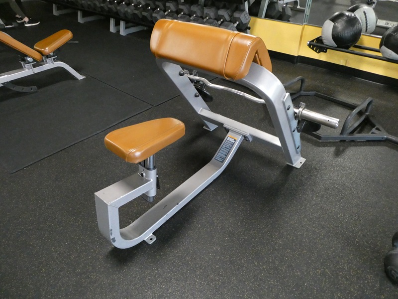 PRECOR ICARIAN | THE ZOO HEALTH CLUB - ONLINE AUCTION | James G. Murphy Co.